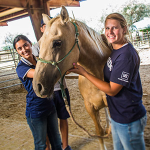 equine program